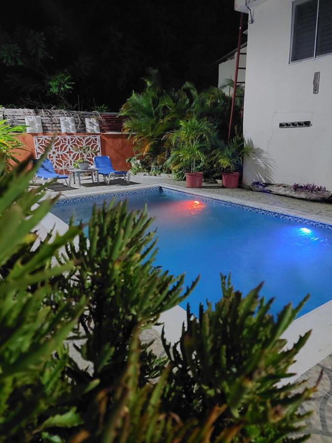 Complejo Villa Las Palmeras Piscina, Billar, Jardin, Bbq @Drvacationsrental Samana Exterior photo