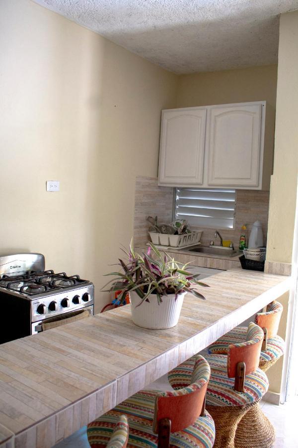 Complejo Villa Las Palmeras Piscina, Billar, Jardin, Bbq @Drvacationsrental Samana Exterior photo